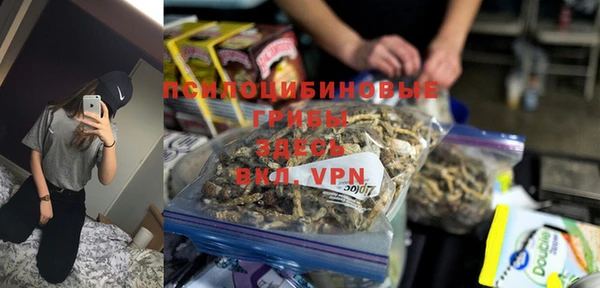 марки lsd Бородино