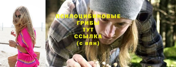 таблы Верхний Тагил